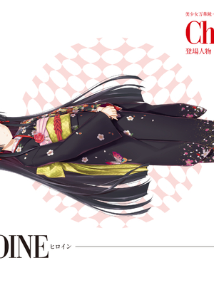 (画集) 美少女万華鏡-八宝備仁アートワークス 下_b127