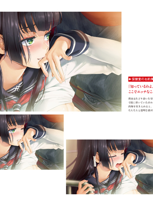 (画集) 美少女万華鏡-八宝備仁アートワークス 下_b202