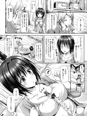 [さんろく丸] すけべDIARY + とらのあなリーフレット_196