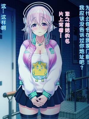 [MAG館 (v-mag)] すーぱーそに娘 差分劇場10 (すーぱーそに子) [xiaoxiao個人漢化]_213