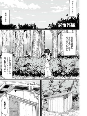 [ぶたちゃんぐ] 異世界の女達 [DL版]_149