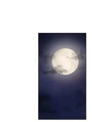 不良女家庭教師 1-92話[完結]_2031066