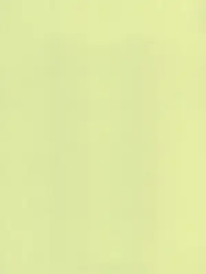 (C100) [えろり屋 (たまちゆき)] ふたりきりの停止世界 [中文][机翻]_69