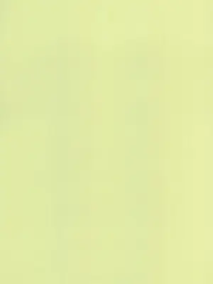 (C100) [えろり屋 (たまちゆき)] ふたりきりの停止世界 [中文][机翻]_03