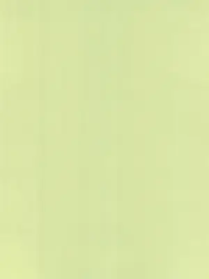 (C100) [えろり屋 (たまちゆき)] ふたりきりの停止世界 [中文][机翻]_70