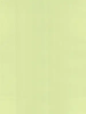 (C100) [えろり屋 (たまちゆき)] ふたりきりの停止世界 [中文][机翻]_04