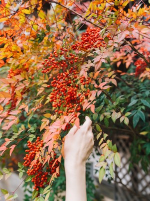 [kenken] 湯めぐりけんけん二泊三日_fig127