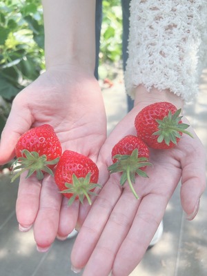 [kenken] fantia 2024.04_fig2