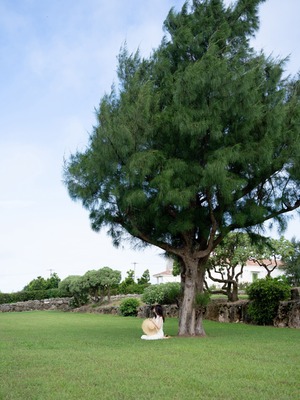 [kenken] めくるめく_fig214