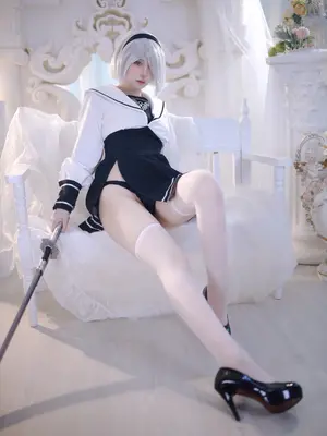 疯猫ss – 2B同人_24