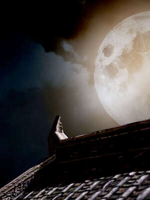 [bagnall] 神谕 第三季 07_071