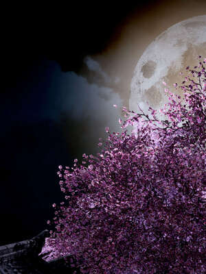 [bagnall] 神谕 第三季 07_111