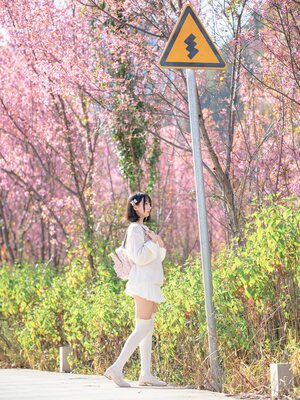 [しずく（原魔物喵）] 桜_035