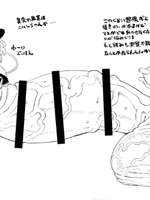 (C105) [革命政府広報室 (ラヂヲヘッド)] 東方総集編 幻想郷ふたなり異聞 (東方Project)_69