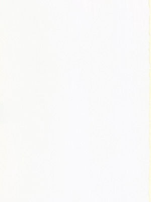 (C101) [ナツザメ (ナツザメ)] モルガン陛下の特別任務2 (Fate／Grand Order) [禁漫漢化組]_00027