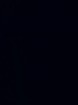 [dfifuw98] 恥辱に濡れた花_第1話(無字版)_tijoku_01_textless_221