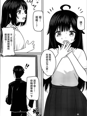 (C105) [みるきんぐだむ (ウェルト)] 妹プログラム [中国翻訳]_26