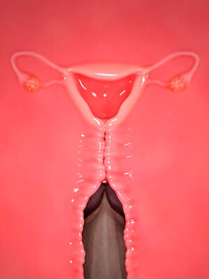 [何止]卧底女仆01-06_0547