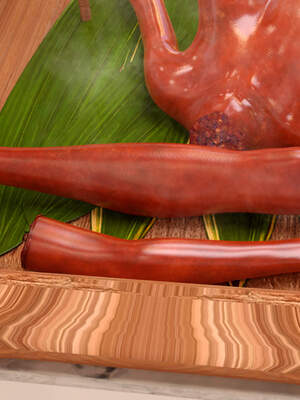 [何止]卧底女仆01-06_0895