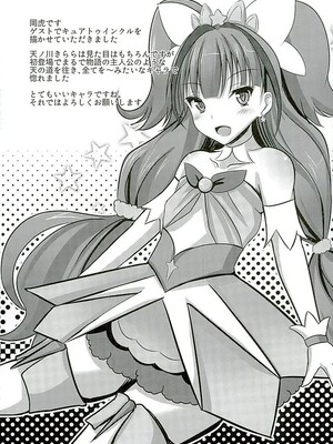 (C89) [さとうや (さとうあき)] カイドウミナミノゼツボウ (Go! プリンセスプリキュア)_20