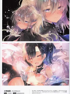 (C100) [メロンブックス (よろず)] ComicMarket100 ExclusiveGift Limited Edition ～ELEGANT～_29