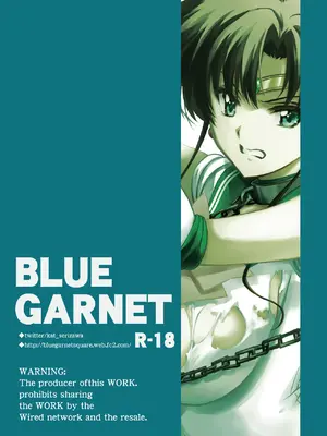 [ブルーガーネット (芹沢克己)] その星は汚されて 6 (美少女戦士セーラームーン)[DL版]_30