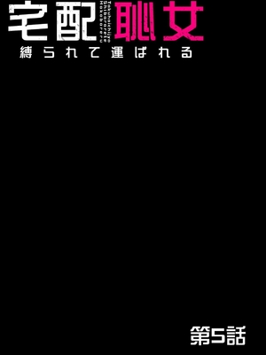 [ピンク太郎] 宅配恥女～縛られて運ばれる [DL版]_136