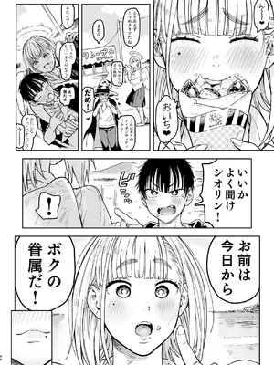 [のりんこ] 大天使シオリン [DL版]_046