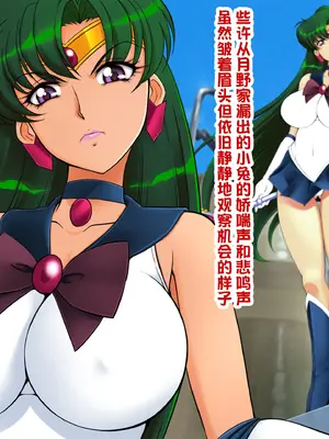 [GLAMOUR WORKS] おねうさ4冥奴 (美少女戦士セーラームーン) [中国翻訳]_12