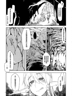 [めたもる (りょう)]  ドスケベエルフの異種姦日記1~13+1、2特典 [中国翻訳][粗碼]_030