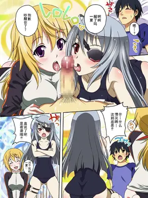 (C80) [スタジオあるた (久水あるた)] ISの本(仮) (IS＜インフィニット・ストラトス＞) [廉价汉化组]_03