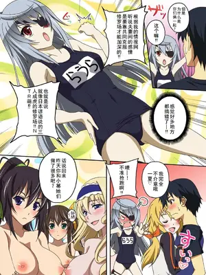 (C80) [スタジオあるた (久水あるた)] ISの本(仮) (IS＜インフィニット・ストラトス＞) [廉价汉化组]_04