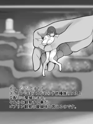 [るち餡(ruutyan)]【衝撃】ゴブリンの巣穴にメスを入れて観察した結果がヤバすぎた[日本語]_03_02