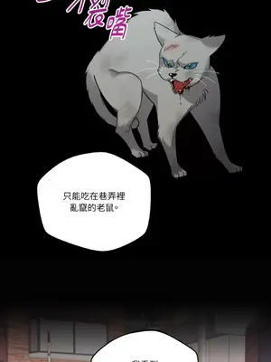 WEAKNESS 1-4話[完結]_004024