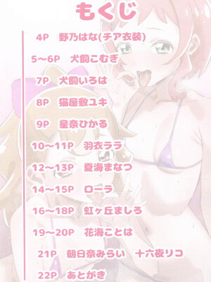 [んぐ] プリキュアのうすい本_02