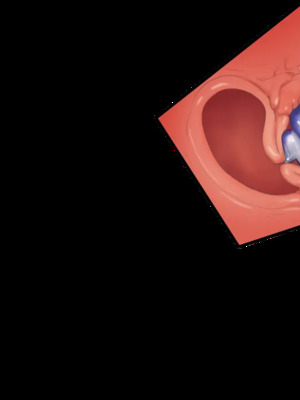 [CHAOS-R] 新章・邪淫のいけにえ ～触手姫の種子～_007_EV01_cut01
