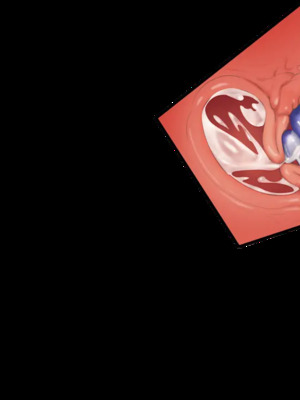 [CHAOS-R] 新章・邪淫のいけにえ ～触手姫の種子～_008_EV01_cut02