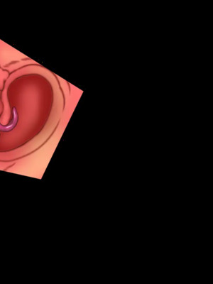 [CHAOS-R] 新章・邪淫のいけにえ ～触手姫の種子～_051_EV05_cut01