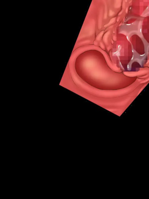 [CHAOS-R] 新章・邪淫のいけにえ ～触手姫の種子～_331_EV28_cut03