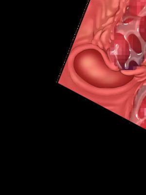 [CHAOS-R] 新章・邪淫のいけにえ ～触手姫の種子～_332_EV28_cut04