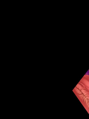 [CHAOS-R] 新章・邪淫のいけにえ ～触手姫の種子～_333_EV28_cut05