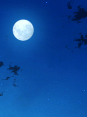 [まろん☆まろん] 忍堕とし【コミックCG集版】_257