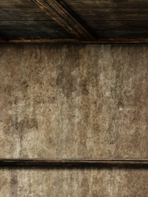 [まろん☆まろん] 忍堕とし【コミックCG集版】_800