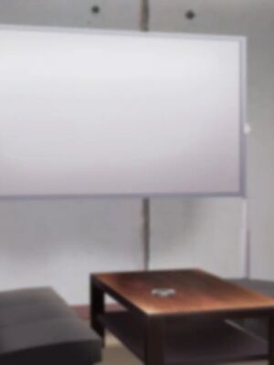 [むらパラ!]ようこそ!パコリパークへ!_0032__31