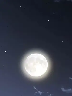 皇帝是我的 1-33話+外傳1-2+現代篇1-8[完結]_1004023