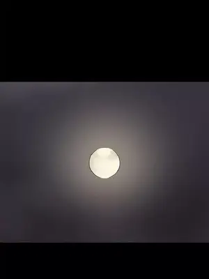 深夜便利店 便利店新星 1-68話[完結]_049049