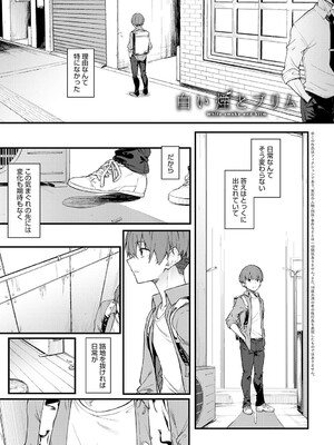 [スピリタス太郎] 淡く、濃い、恋。[DL版]_148