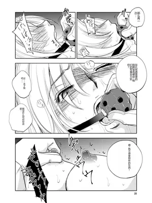 [池袋DPC (DPC)] GRASEEN'S WAR ANOTHER STORY Ex #02 ノード侵攻 II [中国翻訳]_28