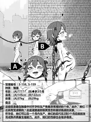 [曰クわく] 異世界奴隷市場に行ってみた。総集編②｜去了趟异世界奴隶市场 总集篇② [中国翻訳]_36