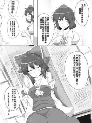 (睡姦祭) [白銀木犀 (ぽし)] 霊夢さん裏取材記録)｜灵梦小姐幕后取材记录 [ai忍者翻译]_04
